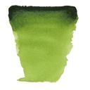 Talens - Van Gogh - Water color Pan, Sap Green 623