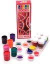 Sudor - SD575  Poster Gouache Colors Water Based - Set of 12 Basic Colors 12 ML
