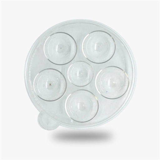 Prima - Round Tray transparent Plastic Palette- 5 wells